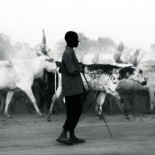 Guía de errores de un reportero en África