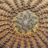 Máquinas de supervivencia: huevos diminutos