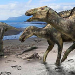 Descubren un nuevo dinosaurio, el primero de su tipo