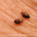 Los pueblos de México llamados 'Está Cabrón', 'La Chingada', 'La Vagina' o 'La Puerta del Coche'