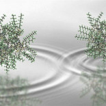 2.000 átomos en dos lugares a la vez: récord de superposición cuántica