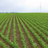 El campo sigue esperando a que los votantes de VOX vayan a recoger la cosecha