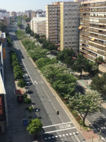 Se aceleran los trámites para la gran tala de árboles en Nervión