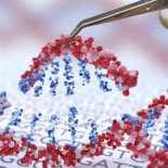 Tres personas con enfermedades hereditarias fueron tratadas exitosamente con CRISPR