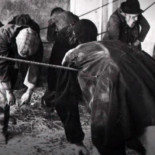 El “hotel” más cutre del Londres victoriano: una cuerda entre dos paredes para dormir colgado