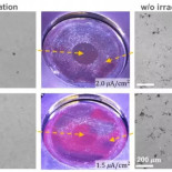 Fortuito hallazgo en el MIT: la radiación puede retrasar la corrosión de algunos materiales