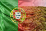 Portugal ofrecerá licencias abiertas para producir cáñamo