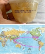 El absurdo viaje de 20.000 kilómetros de una pera para llegar a tu mesa