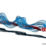 Los espermatozoides humanos no nadan de la forma que se creía hasta ahora (ING)