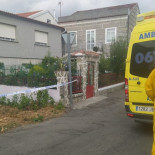 Un hombre sufre decenas de picaduras de velutinas mientras trabajaba en una finca de Vilagarcía