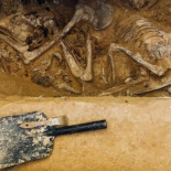 Castigadas más allá de la muerte: una investigación destapa las vejaciones postmortem del franquismo a las mujeres