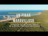 El pinar de Barbate está en riesgo de urbanización
