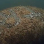 Investigan por abuso animal la aparición de un manatí con la palabra TRUMP grabada en el lomo [Eng]