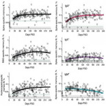 La evolución de la inmunidad al SARS-CoV-2 tras superar la COVID-19