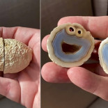 El geólogo Mike Bowers encuentra una roca volcánica con el rostro del Monstruo de las galletas