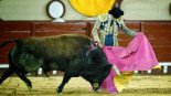 El Supremo establece que la faena de un torero no es propiedad intelectual
