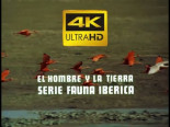 El hombre y la Tierra - tema completo de Antón García Abril. Audio y Video Remasterizado a 4k UHD