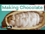¿Alguna vez te has preguntado cómo se hace el chocolate? [ENG]