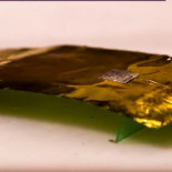 Construyen un robot inspirado en las cucarachas que funciona tras aplastarlo (ING)