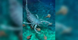 Descubren un antiguo escorpión de mar del tamaño de un perro