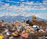 Decenas de artistas conceptuales comienzan a frecuentar basureros ante la inminente celebración de ARCO