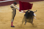 Once partidos proponen impedir por ley que se televisen corridas de toros en horario infantil