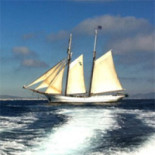 Leyenda Negra: De cómo los estadounidenses exterminaron a los indios de Norteamérica