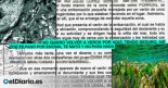El empresario que tiene atemorizados a ecologistas y autoridades de Ibiza: “Te espero con la escopeta reforzada”