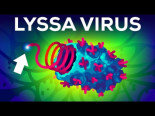 Kurzgesagt  - El virus más mortífero de la Tierra [EN-SUBS]