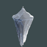 Me equivoqué sobre Facebook