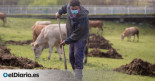 Prohibir abonar a los ganaderos o los cencerros por el ruido: el turismo rural que se queja de la vida de pueblo