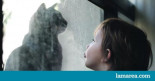 Mirando a la dignidad de los animales