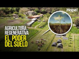 Agricultura regenerativa: el poder del suelo