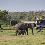 Al asedio de animales por un ‘me gusta’