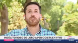 Un loro roba un auricular a un reportero que estaba informando en directo del aumento de robos