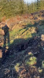 Inesperada reacción de un cazador (reddit)