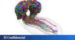 Este es el primer mapa de todas las conexiones neuronales: así funciona un cerebro complejo