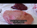 La TORTURA del Foie Gras