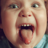 Portadas sin la resolución del Constitucional sobre el castellano en la escuela