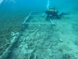 Encuentran una calzada neolítica de 7.000 años de antigüedad y una aldea bajo el mar en una isla de Croacia