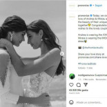 Las redes se vuelcan con Pronovias por la ola de odio que ha sufrido esta semana
