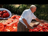 Tomates Secos. Secado en cañizos y sazonado para su conservación y consumo en invierno