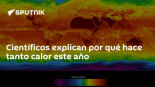 Científicos explican por qué hace tanto calor este año