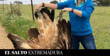 La concejala de agricultura de Siempre Don Benito oculta una foto con el cadáver de un buitre leonado