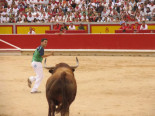Toros con respiración asistida: la asistencia se hunde pese al sostén de los nuevos gobiernos de la ultraderecha