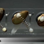 La revolución biohíbrida: cómo aliarnos con los seres vivos mejorará la tecnología