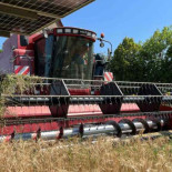 Primera cosecha debajo de los módulos solares, resultados inesperados