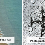 Fotos auténticas y excepcionales sin ninguna manipulación [ENG]