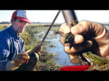 El ranero y su curiosa pesca de ranas con una media roja. De la charca a la cocina