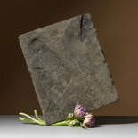 Israel está silenciando todo crítica interna en el país mediante censura [eng]